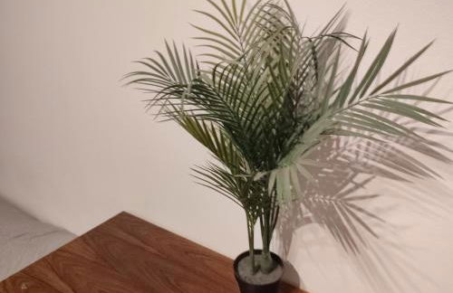 Jungle in Kelkheim for 4 Persons 24 h check in - Photo 12