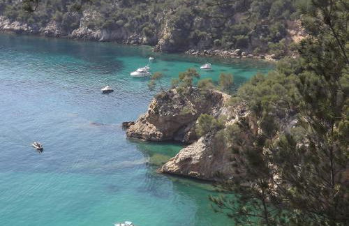 le cytharis - Foto 65