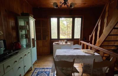 Leśny Czar - Foto 17