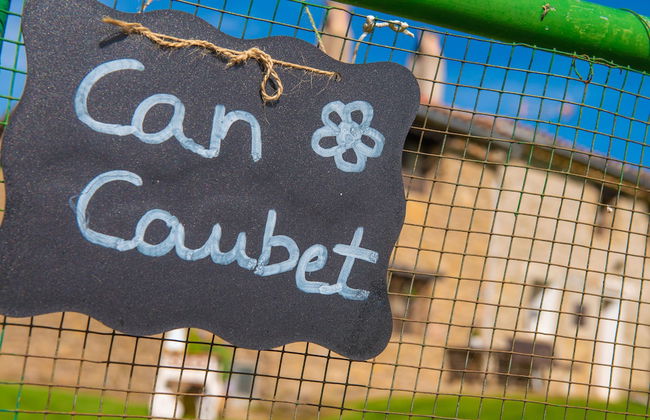 Complex Rural Can Caubet - Photo 45