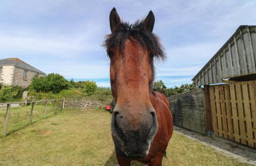 The Reading Room - Foto 32