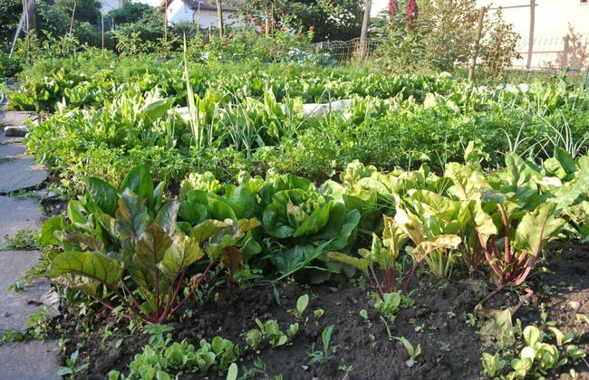 Agriturismo Bortolotti - Photo 73