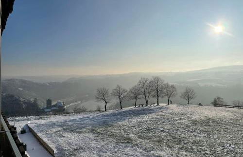 #1 Studioapartment mit Loreleyblick direkt an der schönsten Etappe des Rheinsteigs - Foto 31