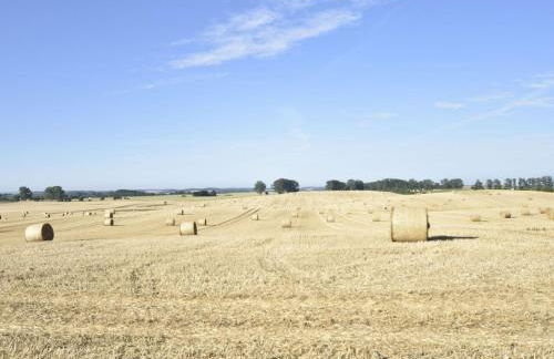 Einladender Bungalow in Kropelin mit Terrasse - Photo 77