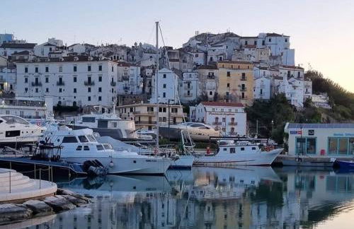 Joivy Dimore Rodiane - U Vucc'l - Foto 21