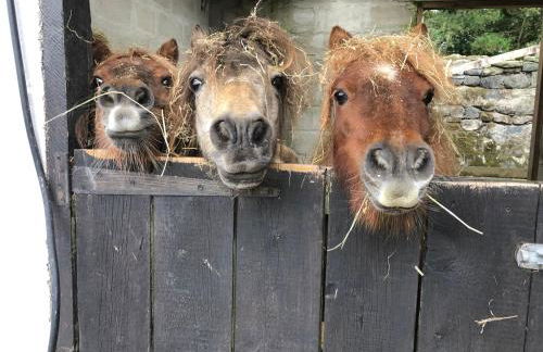 Bay View Cottage - Foto 19