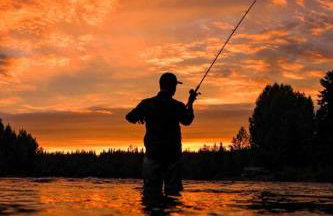 Kenai Living Waters - Fishing Paradise - Foto 3