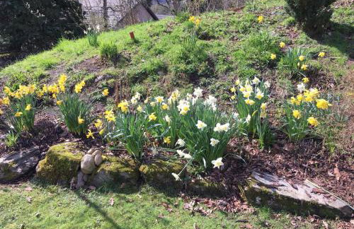 Gushat Cottage - Foto 38