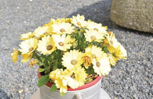 Nice Home In Canchy With Kitchen - Foto 15