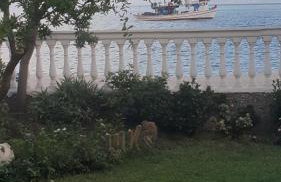 Schinas Apts. - Foto 44