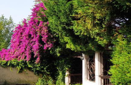 Garden House Pompei Vesuvio - Foto 15