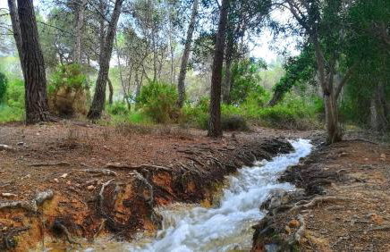 Masía de San Juan Casas número 3 y 5, con piscina, aire acondicionado y vistas a la montaña - Photo 47