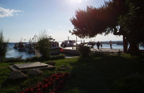 Apartmani M&C - Foto 42