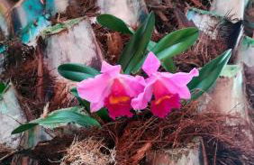 Finca La Punta - Foto 68