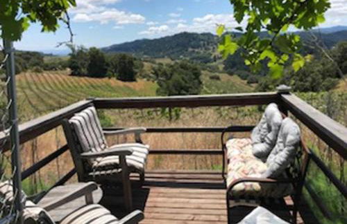 Vacation Rental with Spa and Pool on Winery near Healdsburg, California - Foto 36