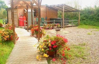 Beautiful Wooden tiny house, Glamping cabin with hot tub 2 - Foto 14