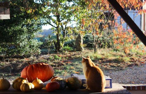 Gîtes à l'ombre des chênes - Foto 74
