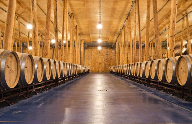 Bodega Bela - Villalba de Duero (Burgos) - Photo 5