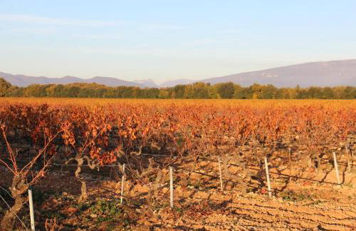 Le Mazet, gîte des Lucioles en Provence - Foto 32
