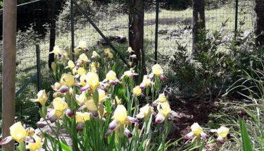 Apartment Ilario - Foto 3