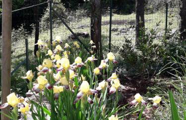 Apartment Ilario - Foto 3