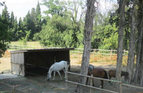 Mas Le Nathakassou - Foto 45