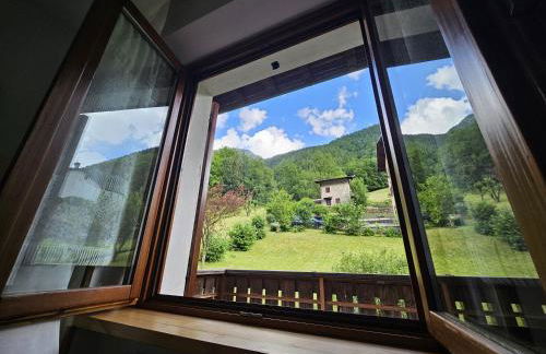 Stella Alpina - Foto 15