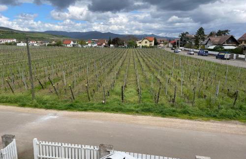 Au petit Logelbach - Foto 12