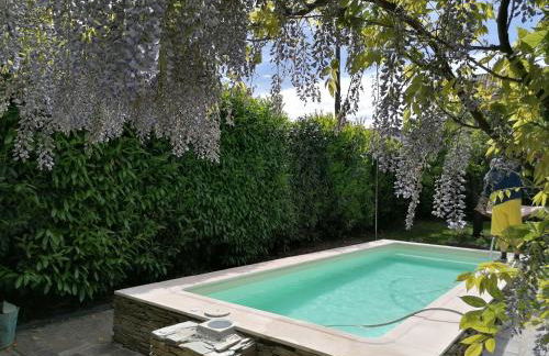 O Ze Ja Dormiu Aqui - Foto 3