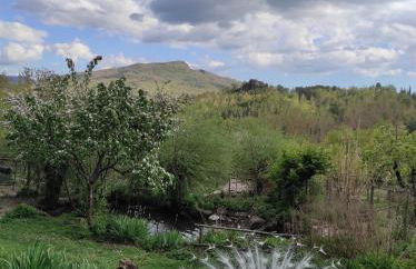 Agriturismo Podere Asche - Photo 39