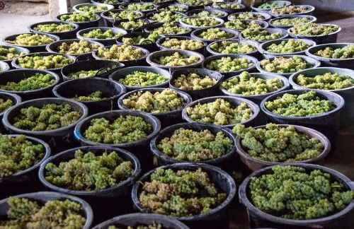 Charming villa in Cividade, 150 m² with private pool - Foto 19