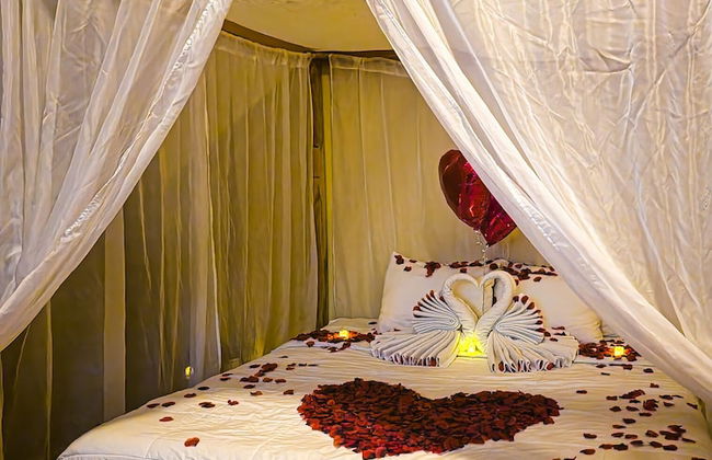 Palm Valley Cabins - Foto 37