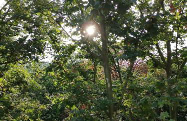 The apartment in the trees Lille - Foto 7