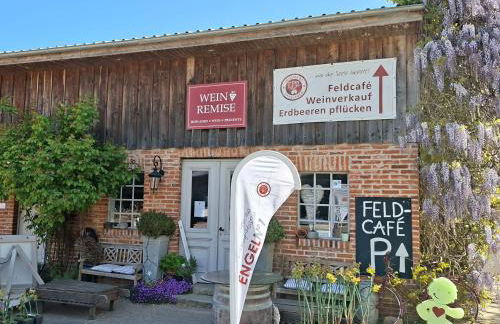 Obst- und Weingut Ingenhof - Foto 6