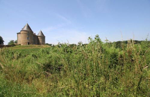 La feuillardiere - Foto 38