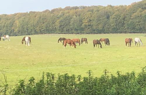 Ländliches HideAway zwischen Hamburg und Lübeck - Foto 24