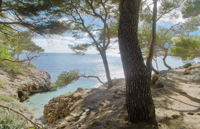 Apartamentos Sureda - Foto 42