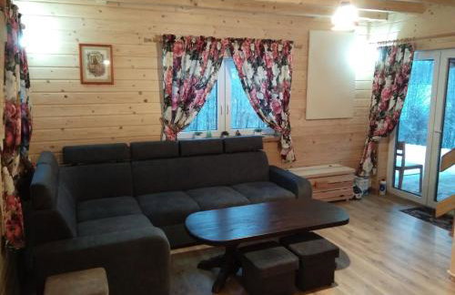 Domek na wzgórzu ''NIEDŹWIEDŹ'' - Foto 6