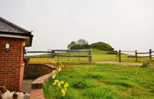 Queen Bower Farm Lodge - Foto 70