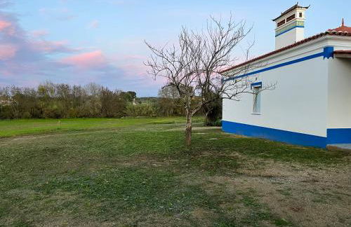 Monte Casa Branca - Foto 60