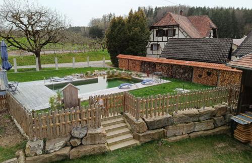 Ferienhof Stärk - Foto 19