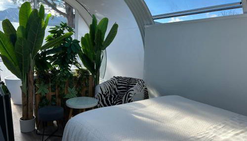 SKD Casa Amarilla Suite Rivera - Photo 5