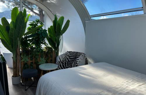 SKD Casa Amarilla Suite Rivera - Photo 5