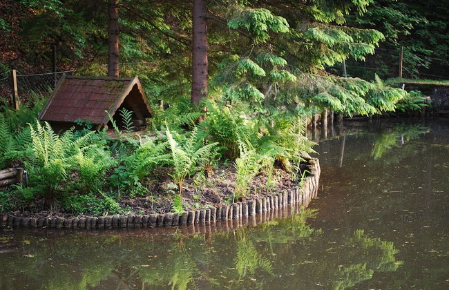 Ferienhaus Oppach - Foto 61