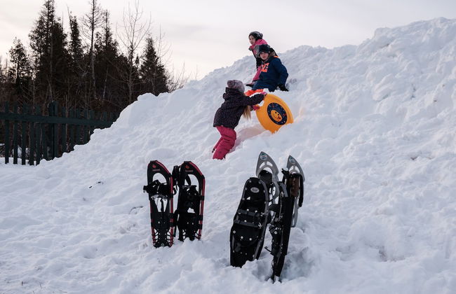 Heron's Nest Cottages - Foto 38