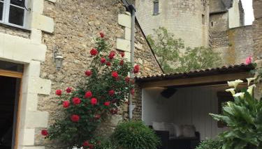 La douceur Angevine - Photo 3