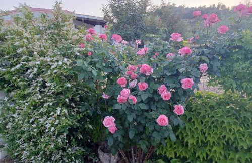 Casa Museddu - Foto 26