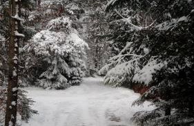 Domek Krasnal - Foto 37