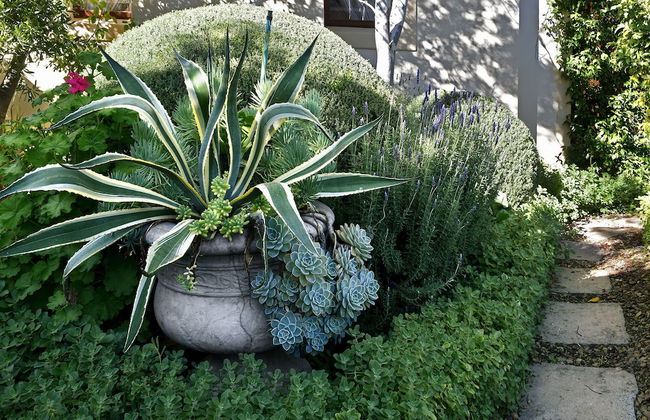 Petit Plaisir is a Romantic Self-catering Cottage on the Side of the Village no1 - Foto 23