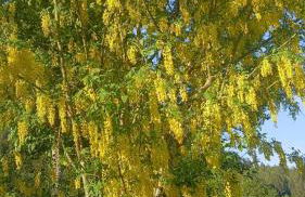 Ferienwohnung auf dem Bückle - Foto 22